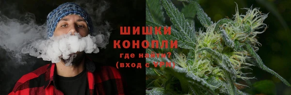 тгк Горняк