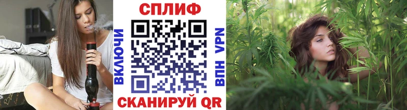 Канабис сатива Давлеканово